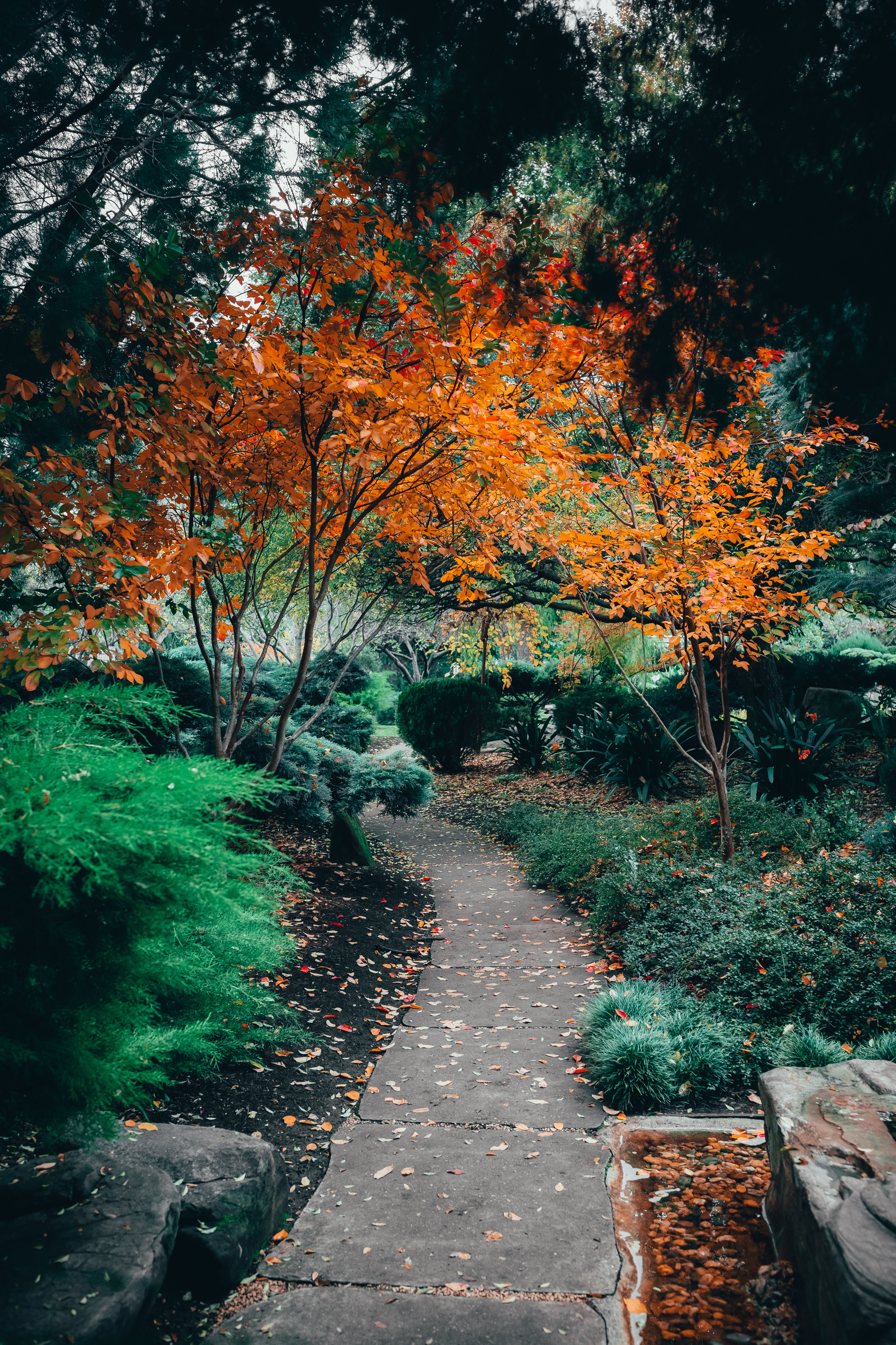 nature view nature view